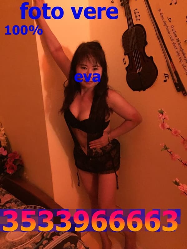 3533966663
