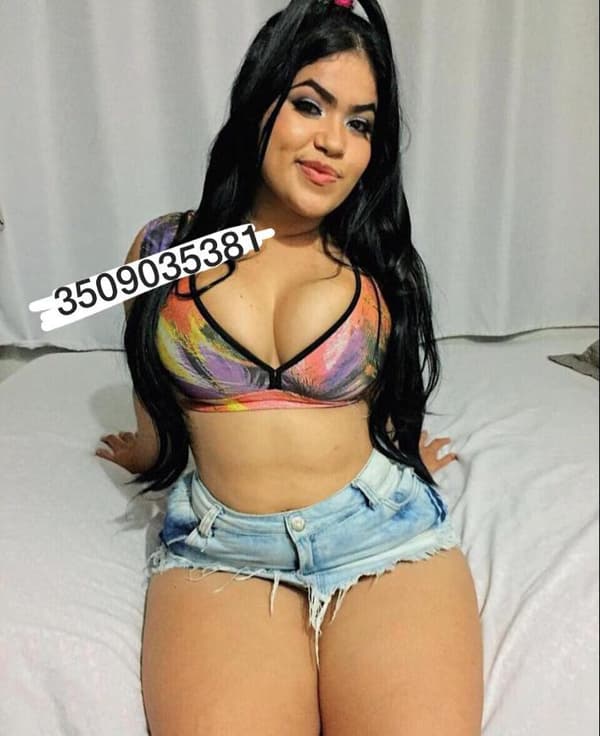 3509035381