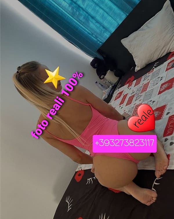 3273823117