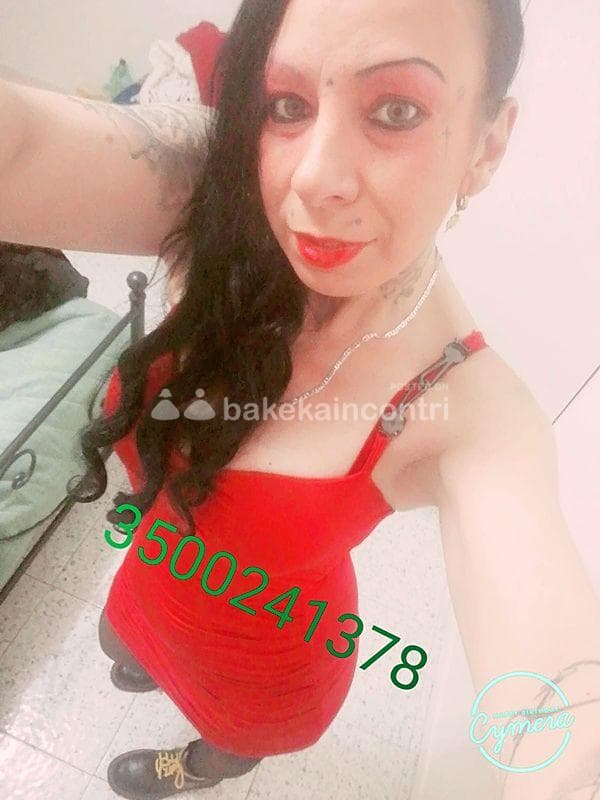 foto 3500241378