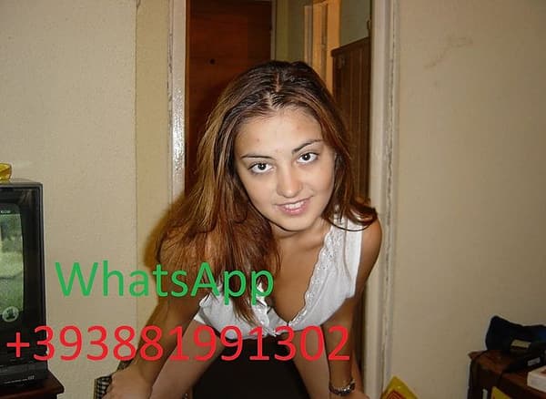 3881991302