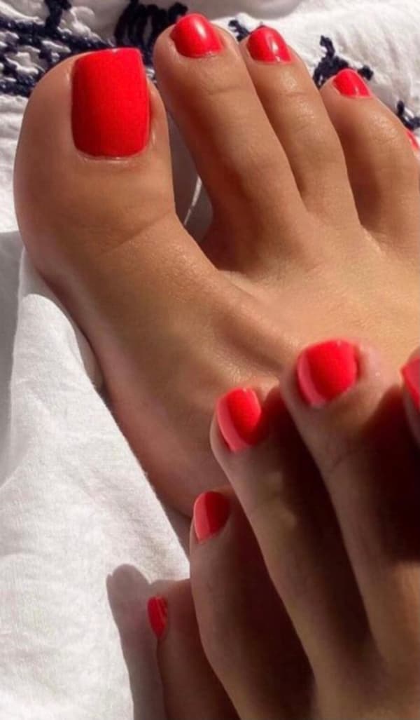 3884588115