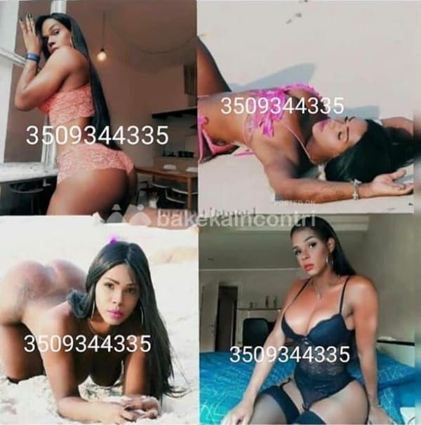 3509344335
