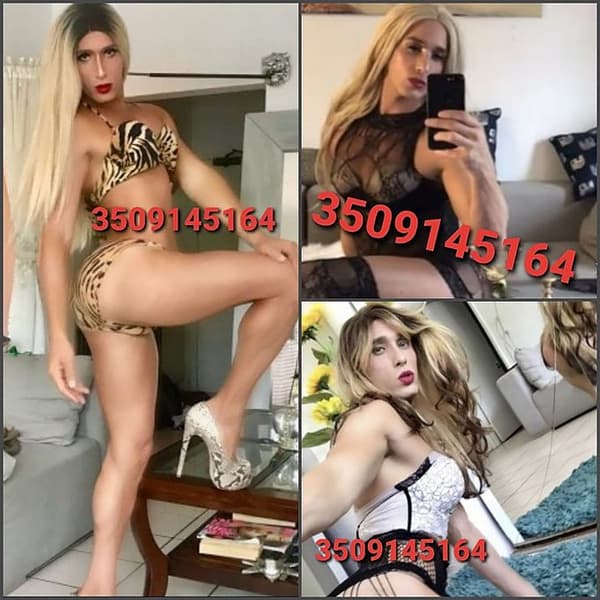 3509145164