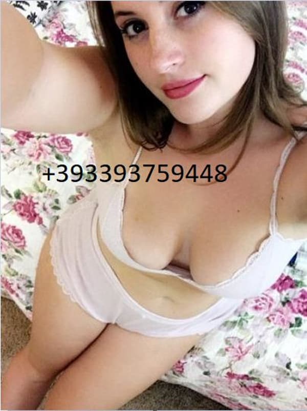 3393759448