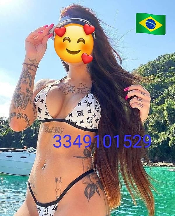 3349101529