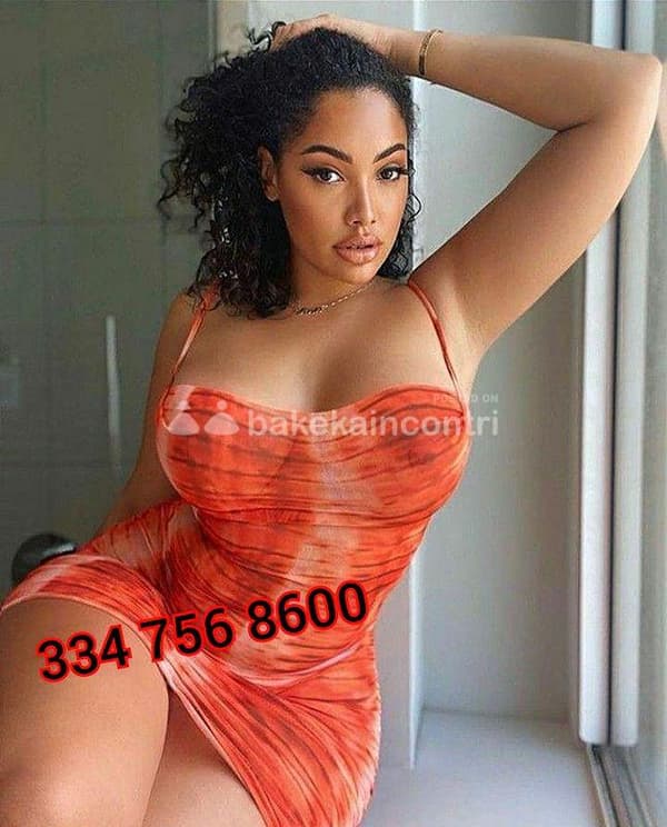 3347568600