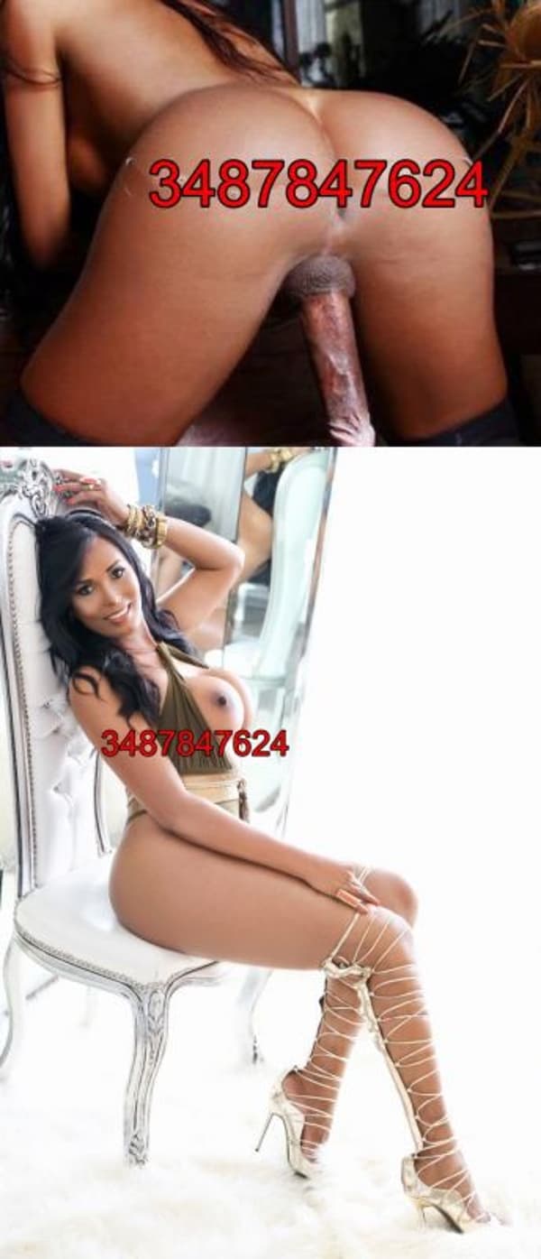 3487847624
