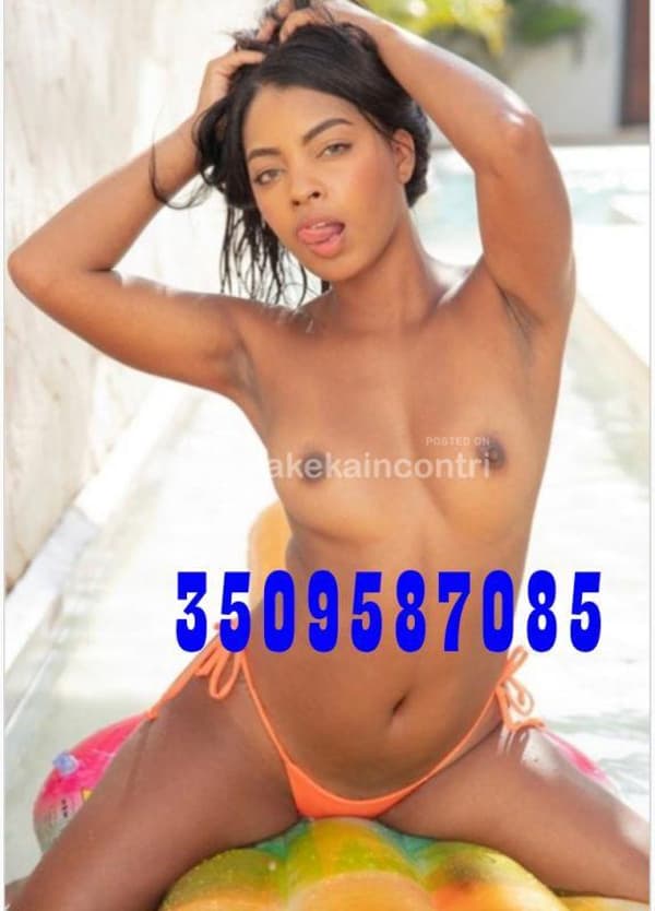 3509587085