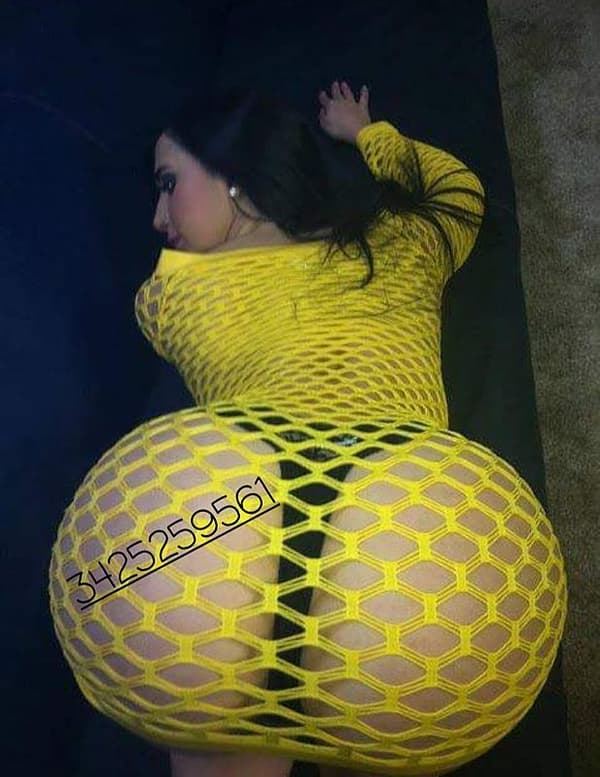 3425259561
