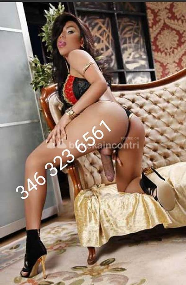 3463236561