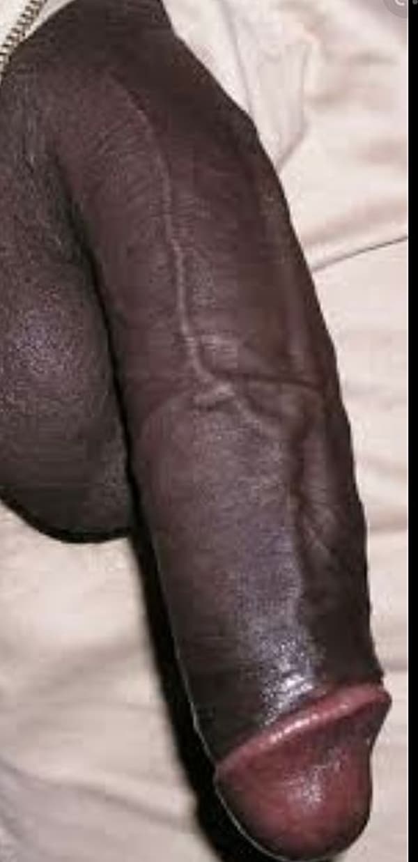 foto 3509942214