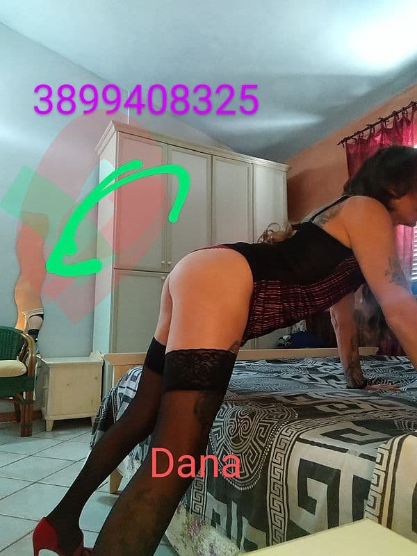 3899408325