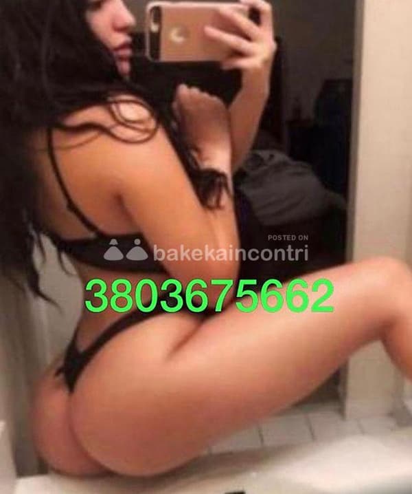 3803675662
