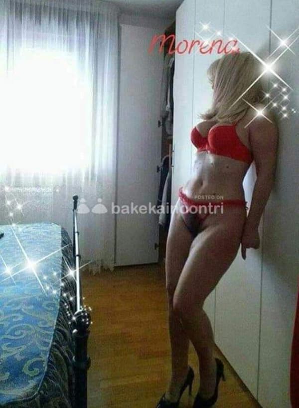 foto 3533154123