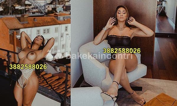 3882588026