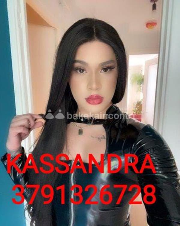 3791326728