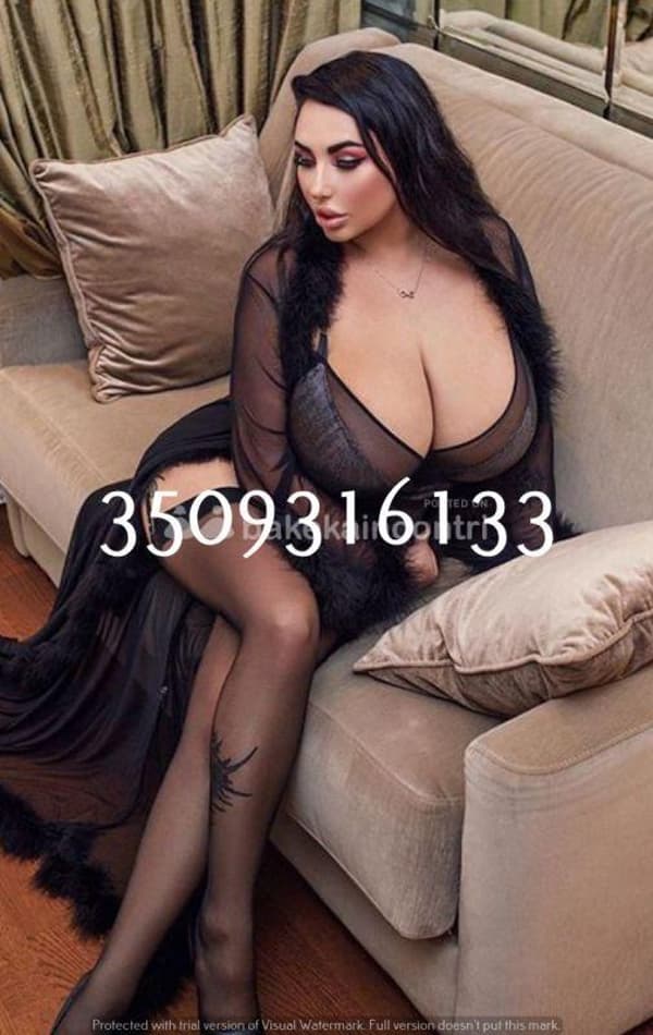 3509316133