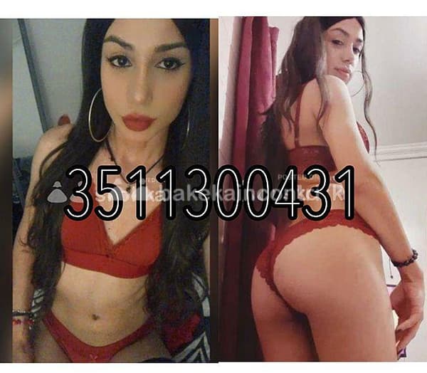 3511300431