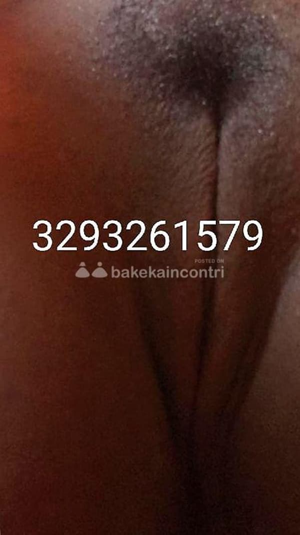 3293261579