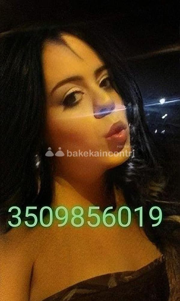 3509856019