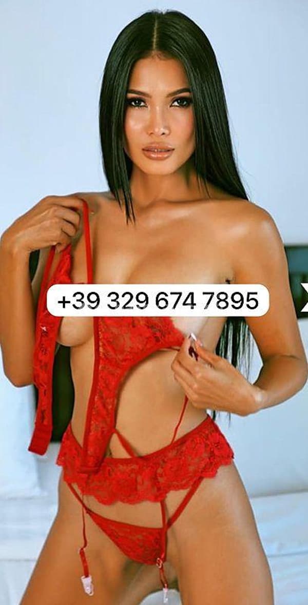 foto 3296747895