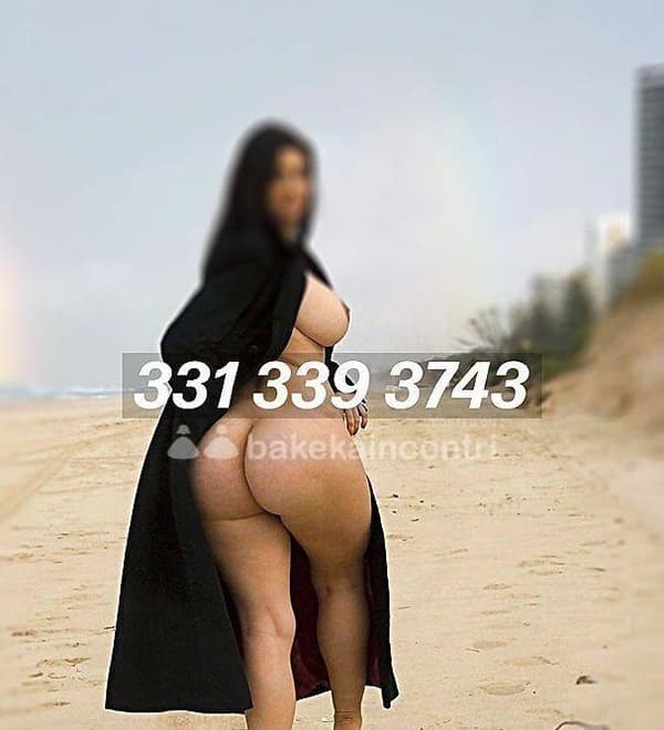 3313393743