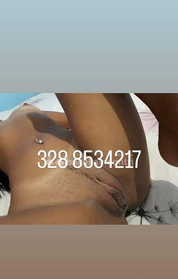 3288534217
