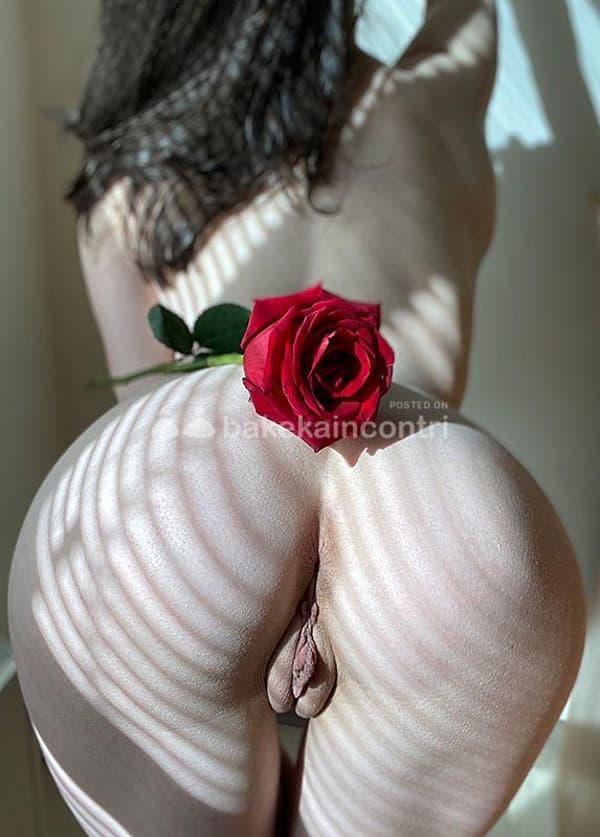 foto 3501667270