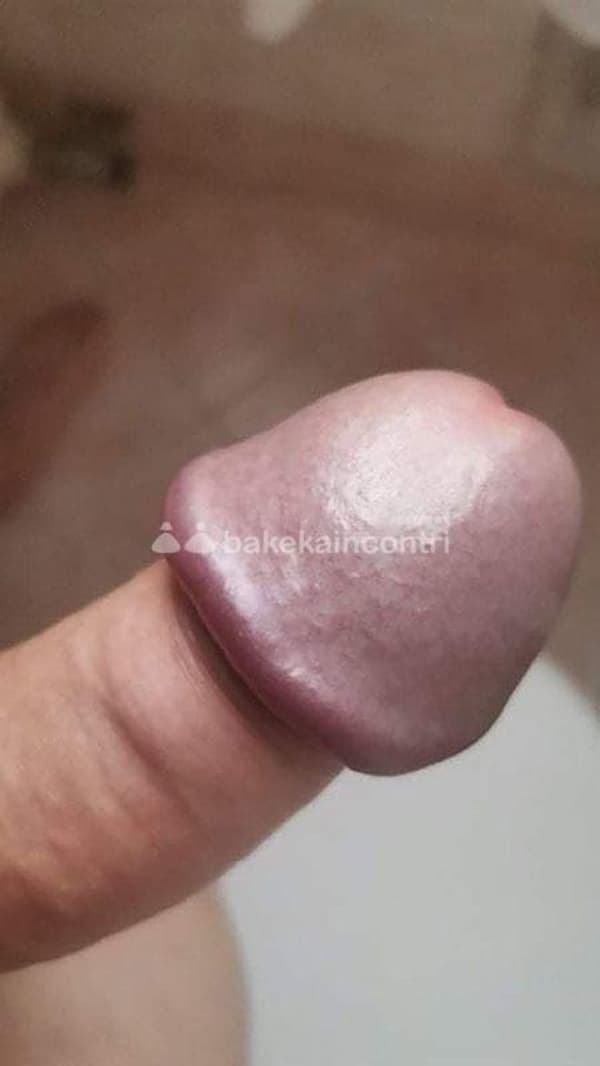 foto 3515968486