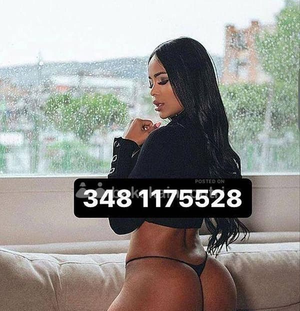 3481175528