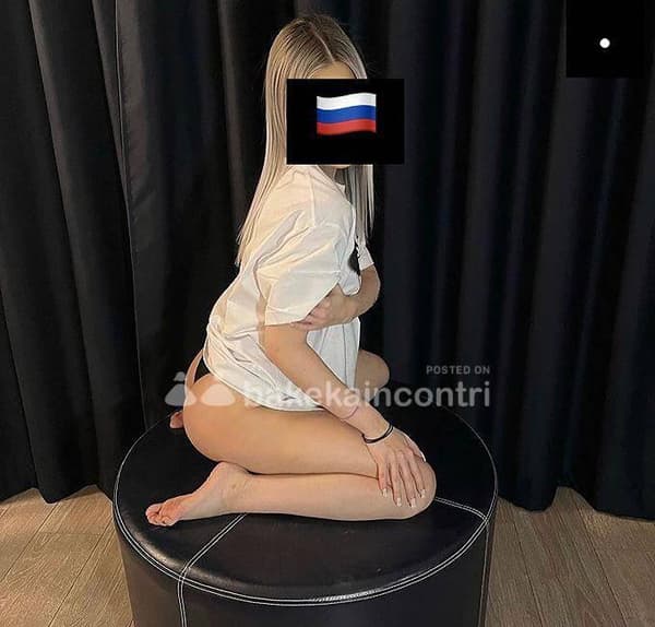 3291741131