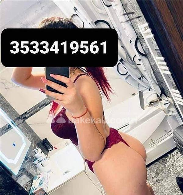 3533419561