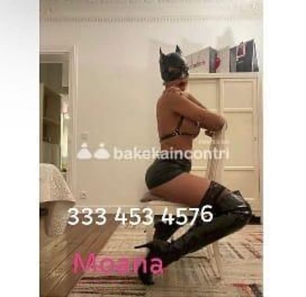 3334534576