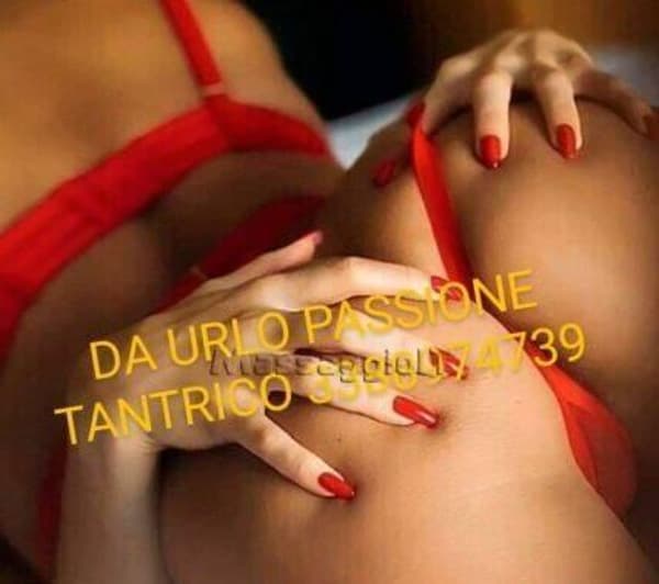 3388974739
