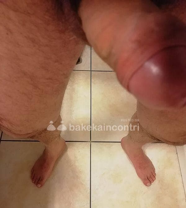 foto 3393307461