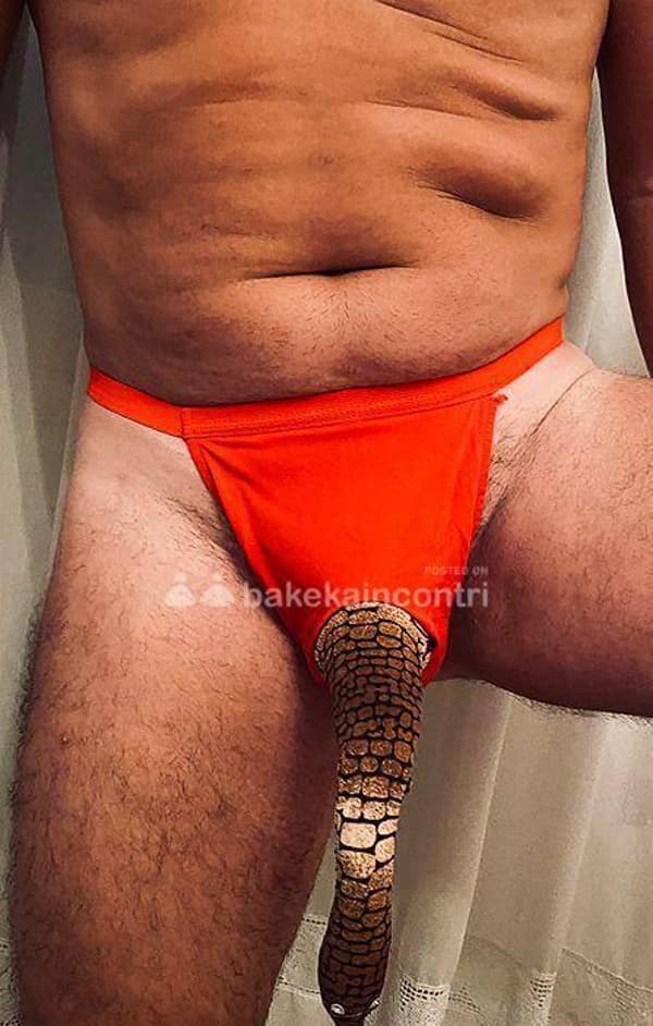foto 3283451868