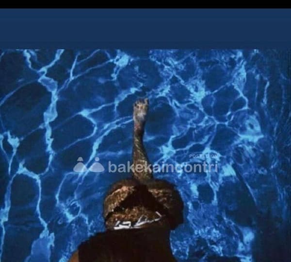 3293060054