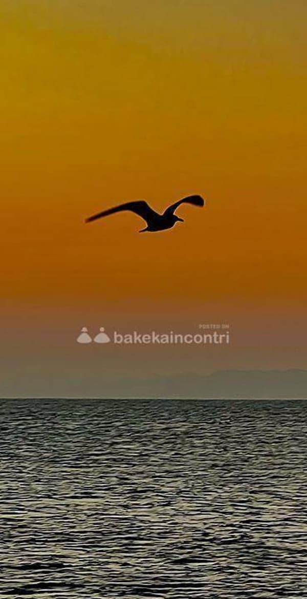 foto 3383915017