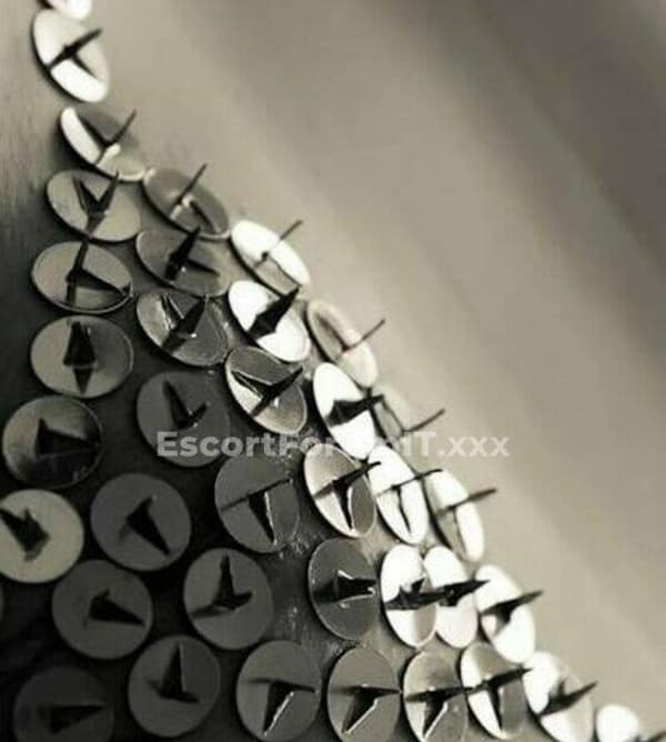 foto 3513707737