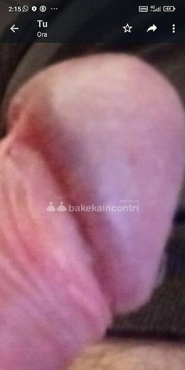 3455373876
