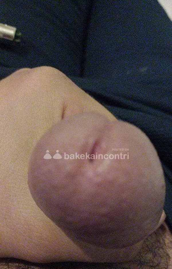3761746065