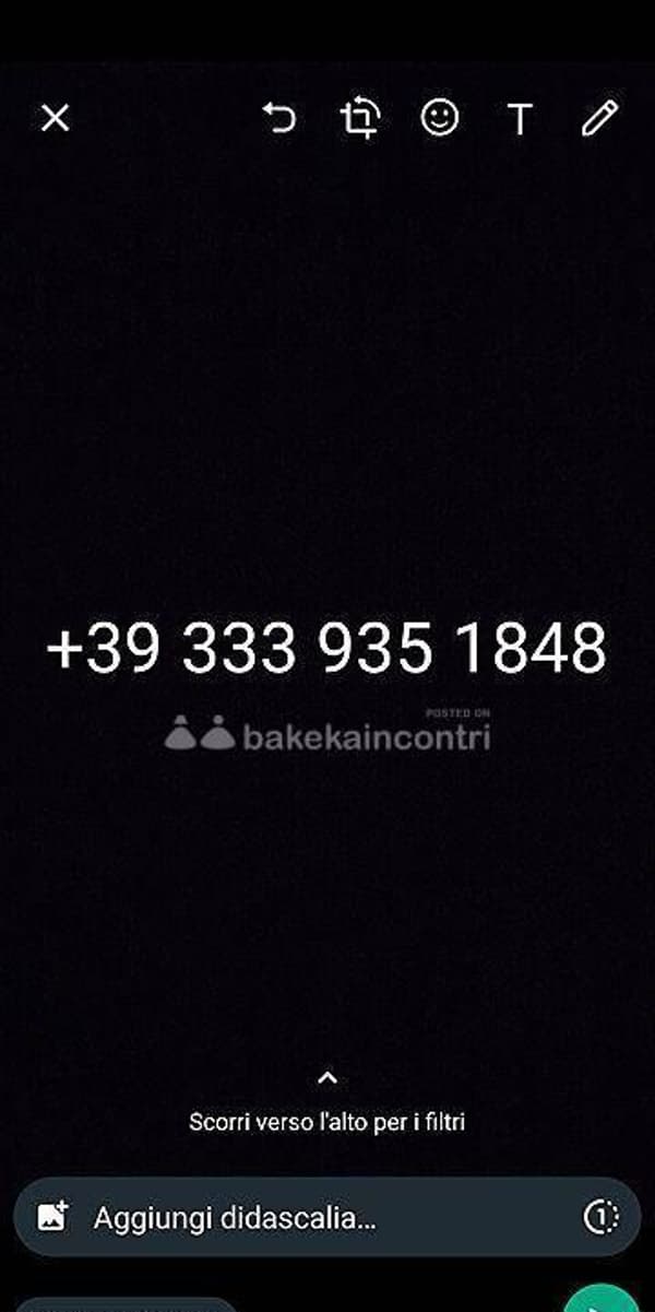 foto 3339351848