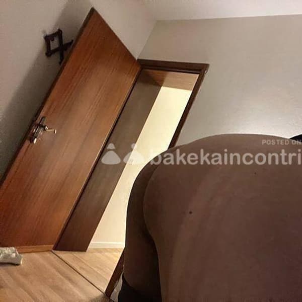 3339555166