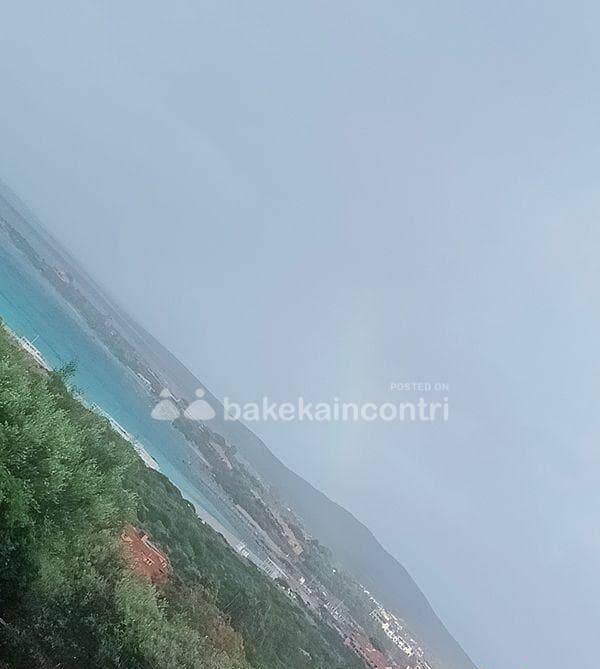 foto 3511589120