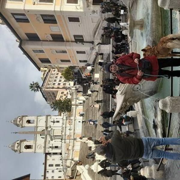 foto 3385429007