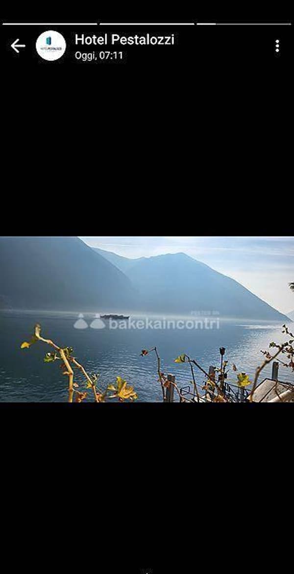 foto 3479448923