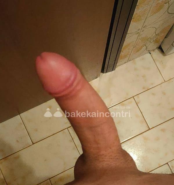 3208041162