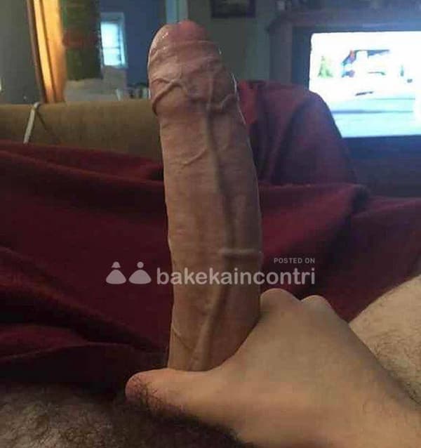 foto 3311276359