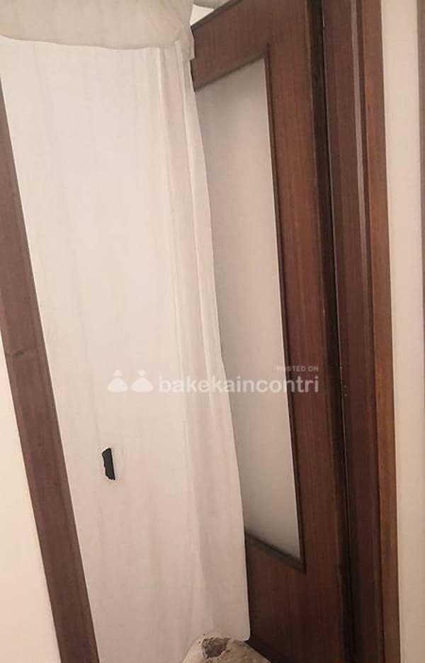 foto 3270930487